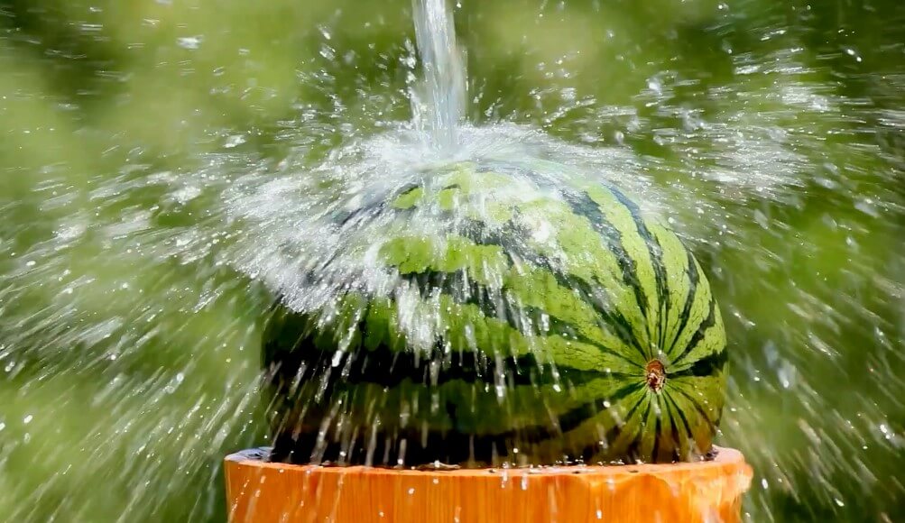 Watermelon for digestive health