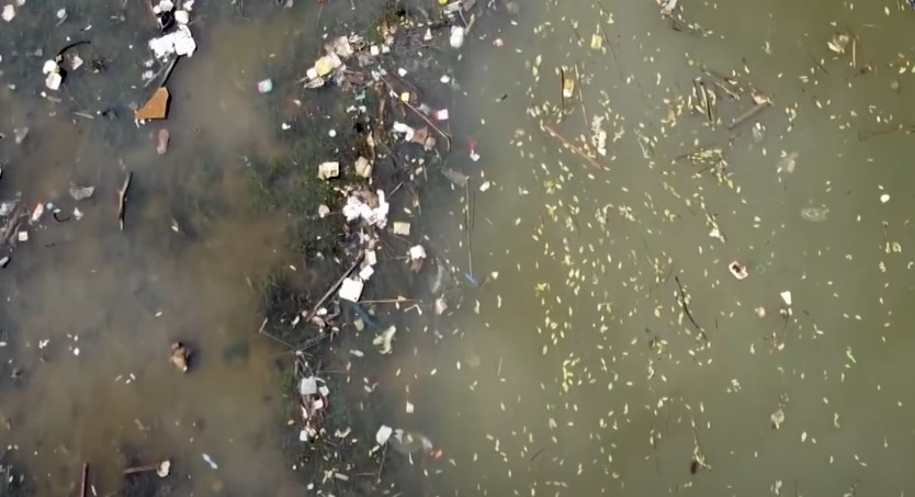 Contaminated water bodies